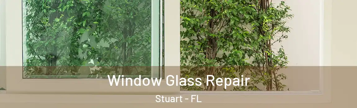 Window Glass Repair Stuart - FL