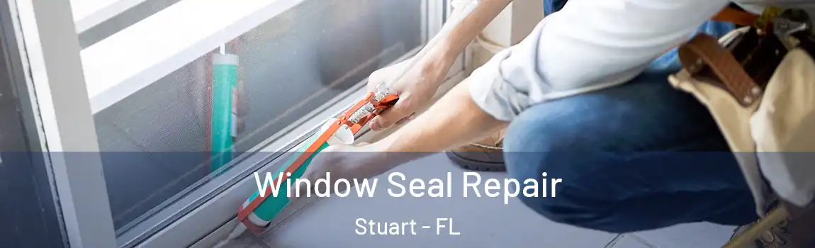  Window Seal Repair Stuart - FL